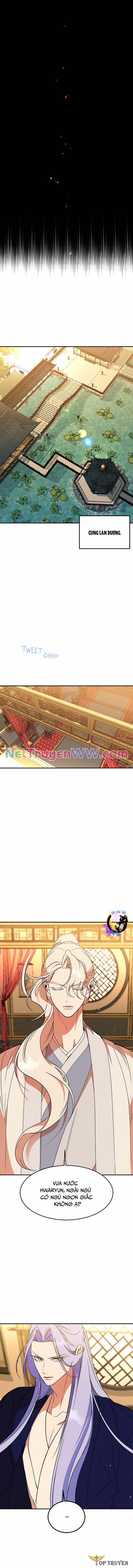 Chiến Lược Săn Hổ Của Nữ Thần 58 trang 5