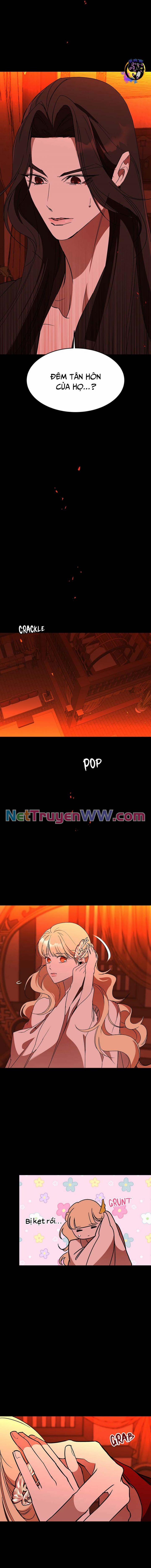 Chiến Lược Săn Hổ Của Nữ Thần 59 trang 13