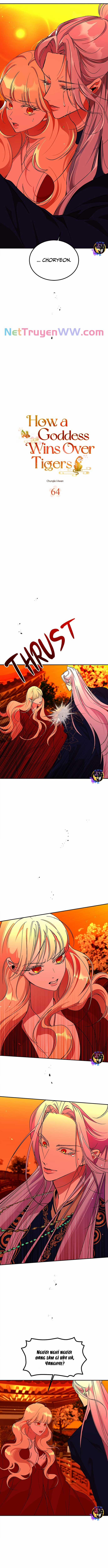 Chiến Lược Săn Hổ Của Nữ Thần 64 trang 1