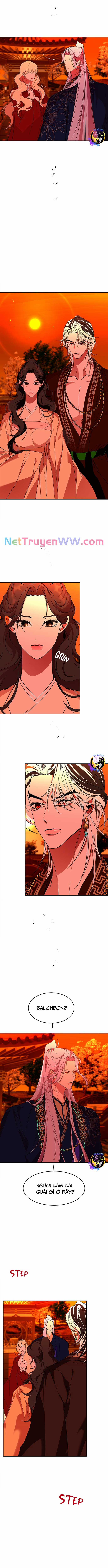 Chiến Lược Săn Hổ Của Nữ Thần 64 trang 5