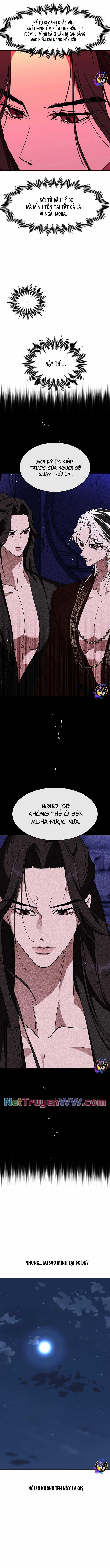 Chiến Lược Săn Hổ Của Nữ Thần 65 trang 14