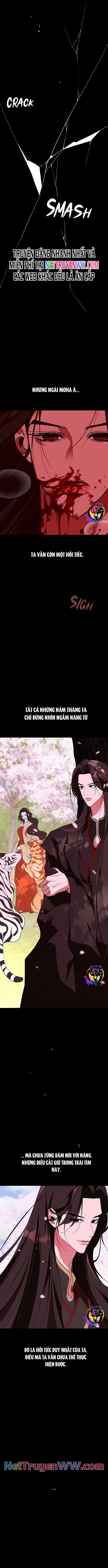 Chiến Lược Săn Hổ Của Nữ Thần 67 trang 12