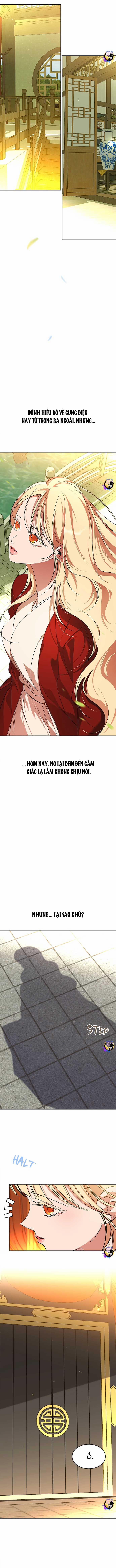 Chiến Lược Săn Hổ Của Nữ Thần 67 trang 2