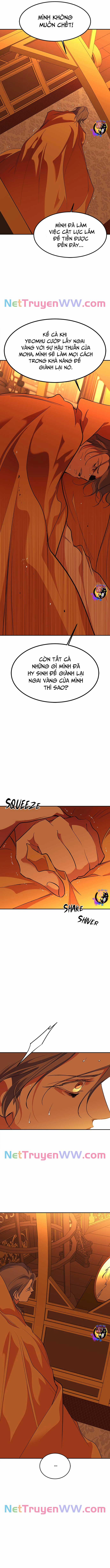 Chiến Lược Săn Hổ Của Nữ Thần 68 trang 5