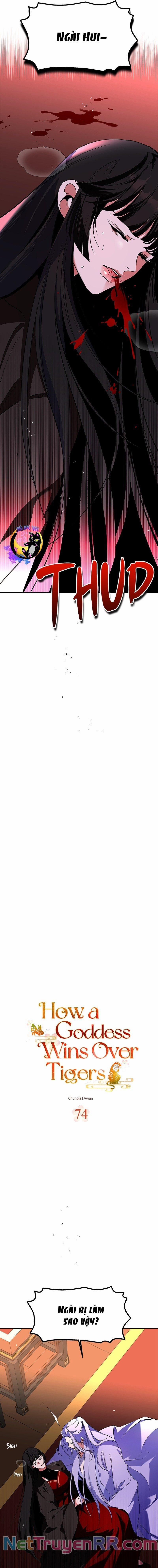 Chiến Lược Săn Hổ Của Nữ Thần 74 trang 1