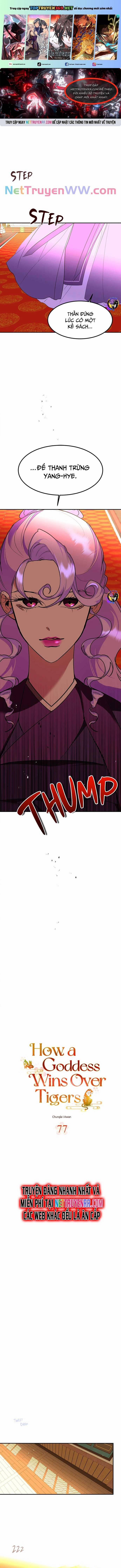 Chiến Lược Săn Hổ Của Nữ Thần 77 trang 0