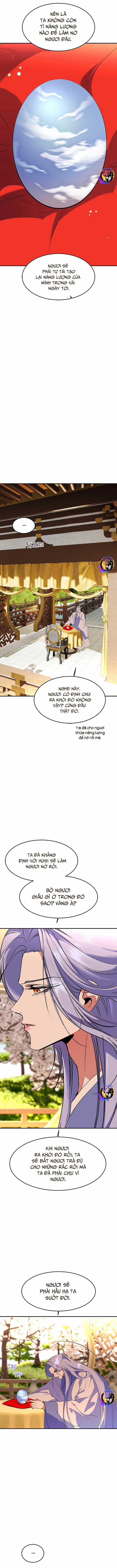 Chiến Lược Săn Hổ Của Nữ Thần 77 trang 11