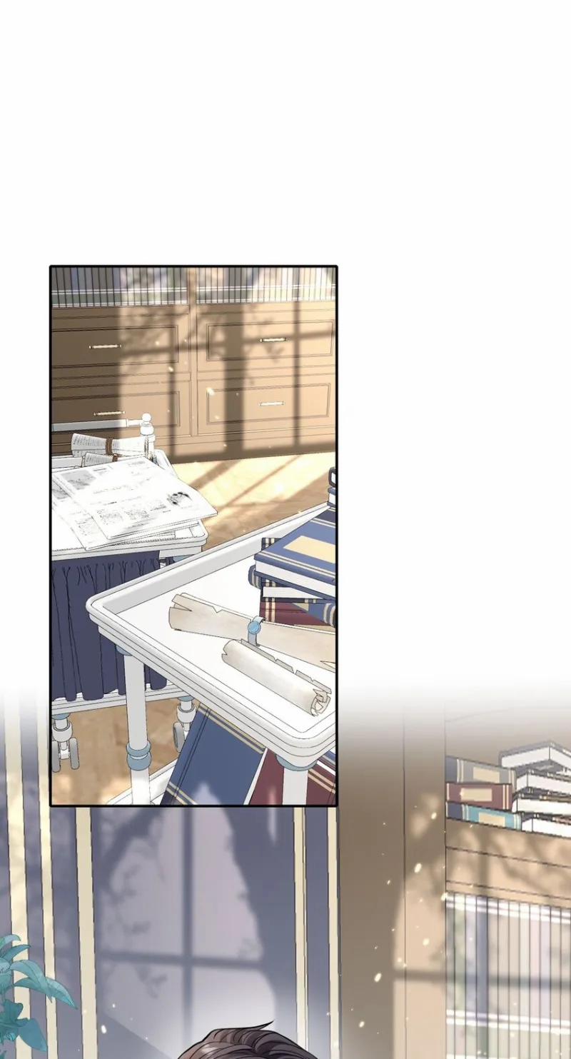 Chiến Lược Tẩy Trắng Của Phản Diện 12 trang 14