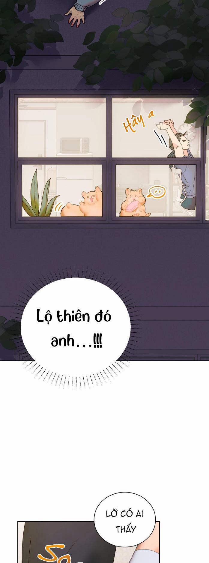 CHIẾN LƯỢC TRAO ĐỔI USB CAO CẤP 2 trang 4