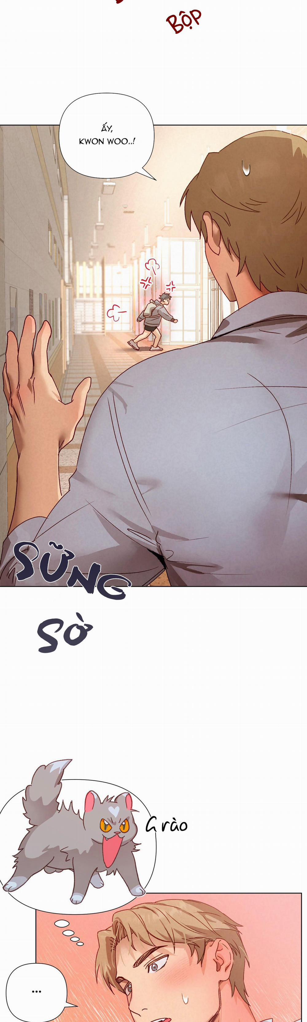 CHIẾN LƯỢC TRAO ĐỔI USB CAO CẤP 3 trang 18