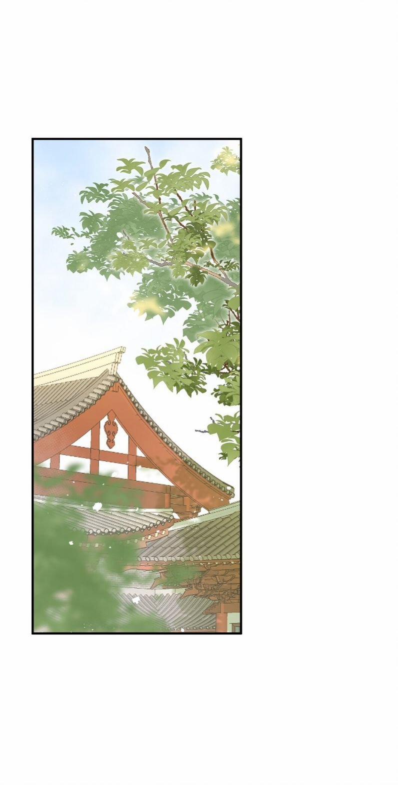 Chiết Chi 10 trang 14