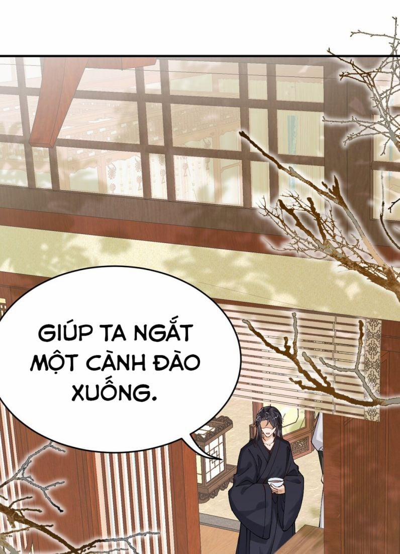 Chiết Chi 10 trang 28