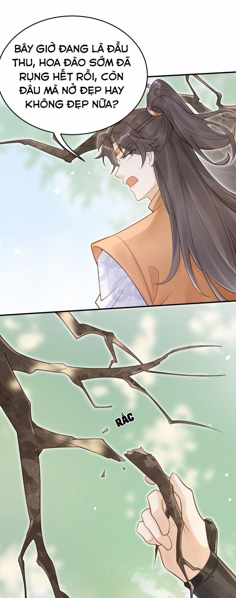 Chiết Chi 10 trang 33