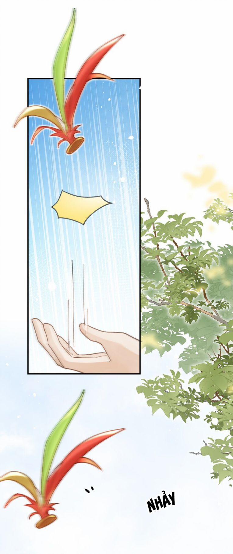 Chiết Chi 11 trang 17