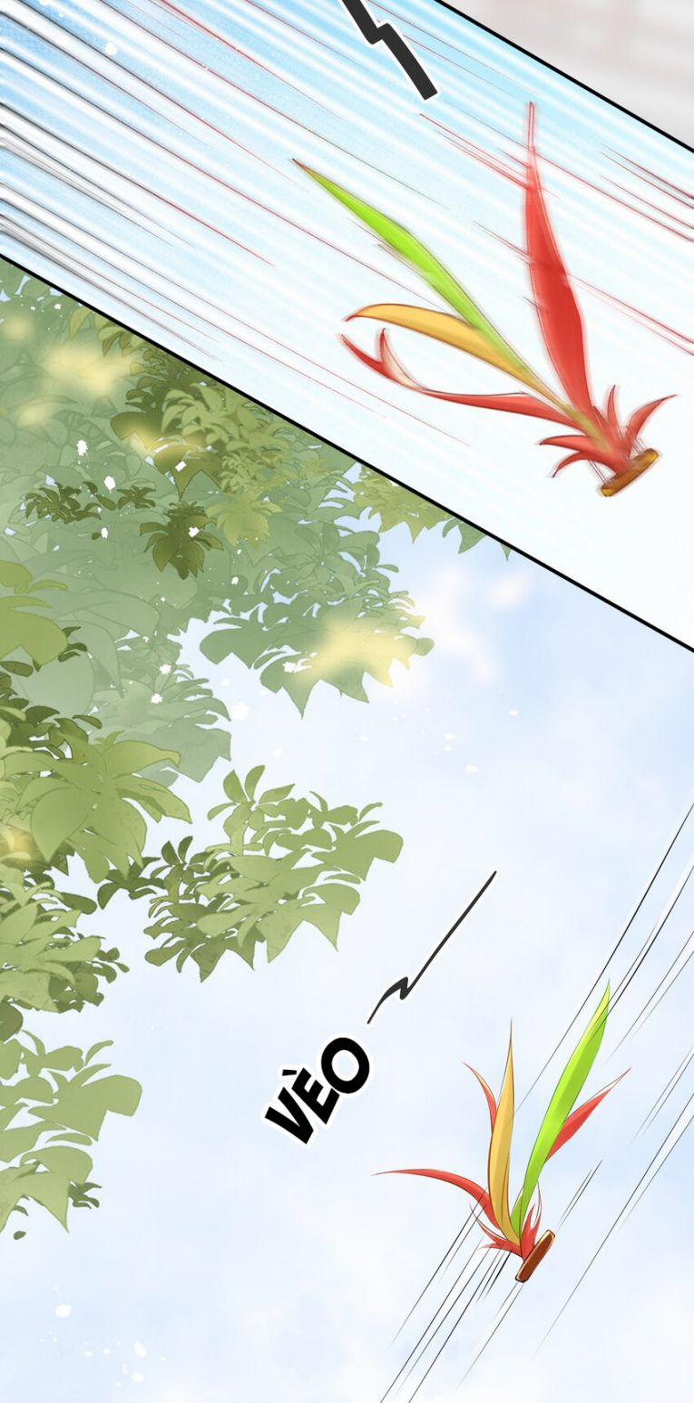 Chiết Chi 11 trang 19