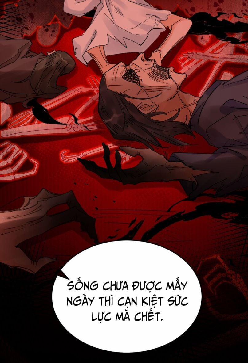 Chiết Chi 8 trang 28