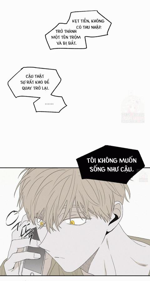 Chiếu Tướng 11 trang 43