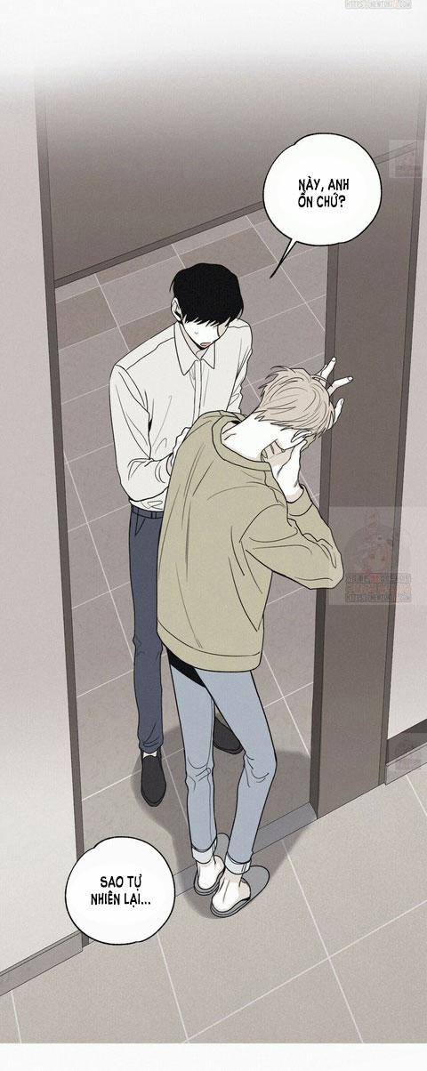 Chiếu Tướng 13 trang 12