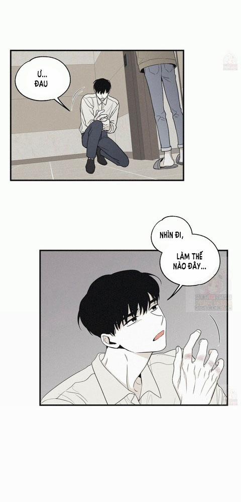 Chiếu Tướng 13 trang 9