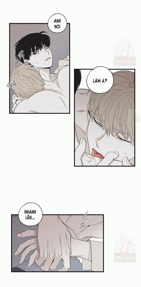 Chiếu Tướng 14 trang 13