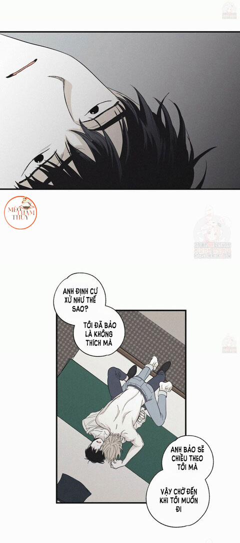 Chiếu Tướng 14 trang 15