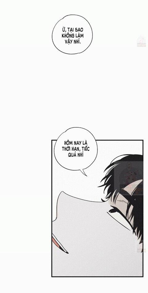 Chiếu Tướng 14 trang 8