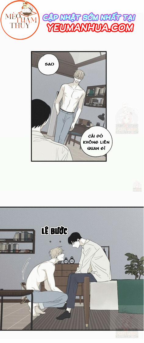 Chiếu Tướng 15 trang 20