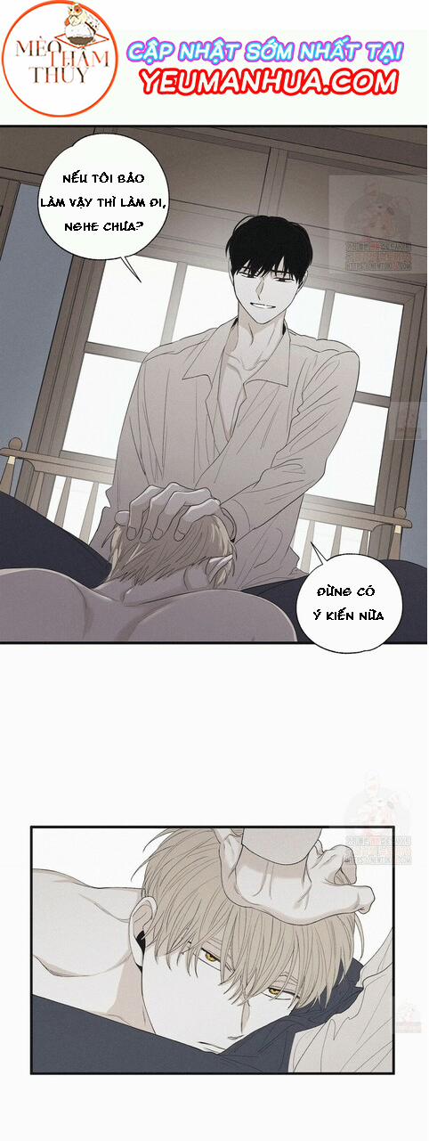 Chiếu Tướng 15 trang 4