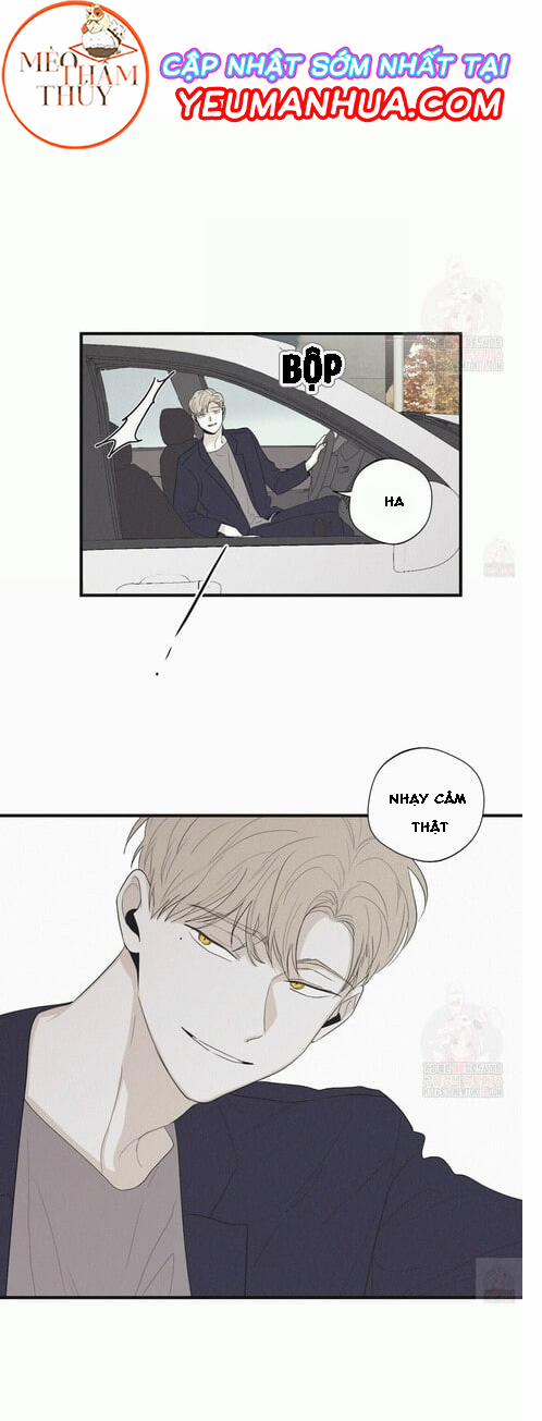 Chiếu Tướng 17 trang 15