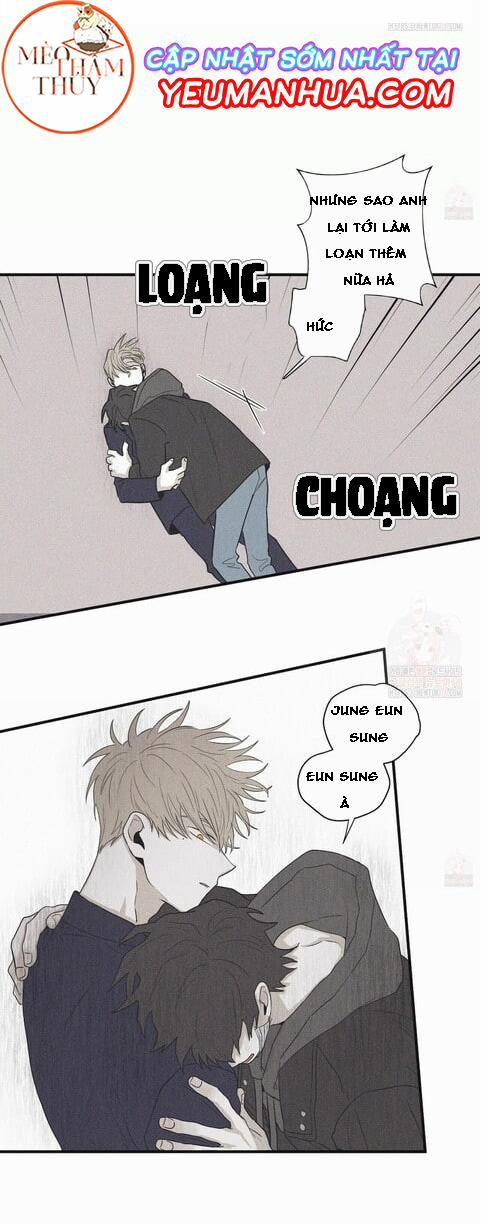 Chiếu Tướng 17 trang 19