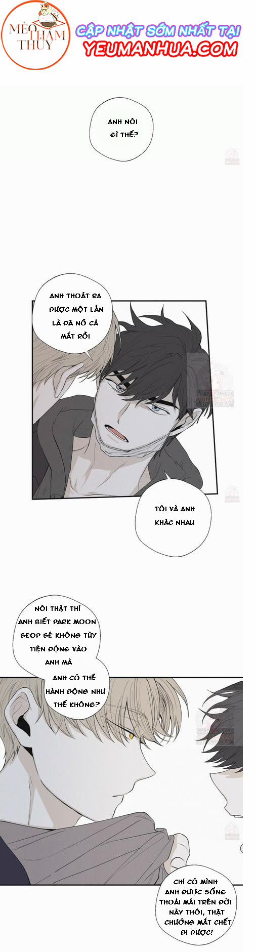 Chiếu Tướng 18 trang 2