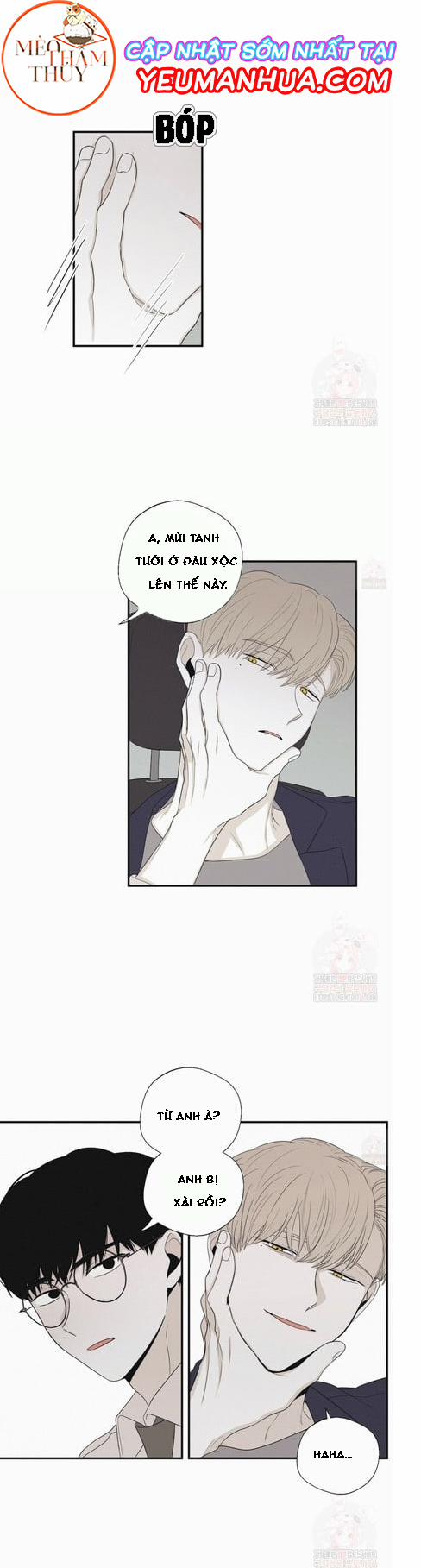 Chiếu Tướng 18 trang 21