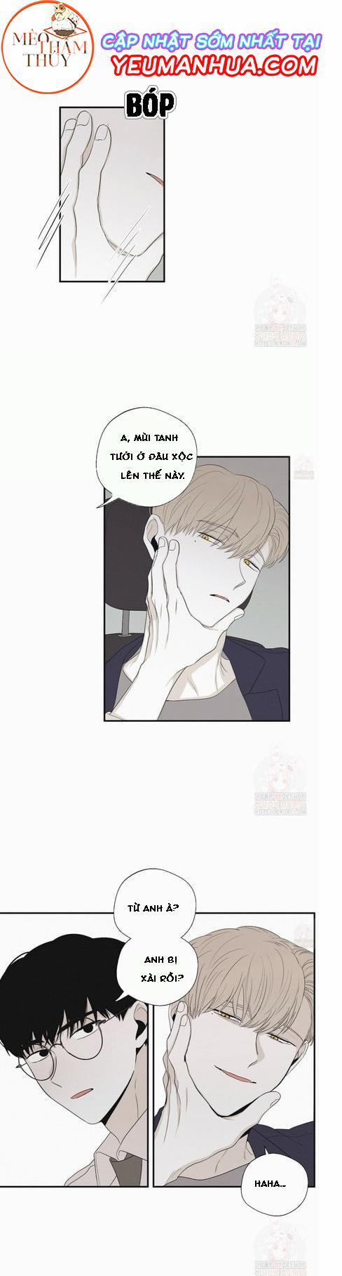 Chiếu Tướng 19 trang 0