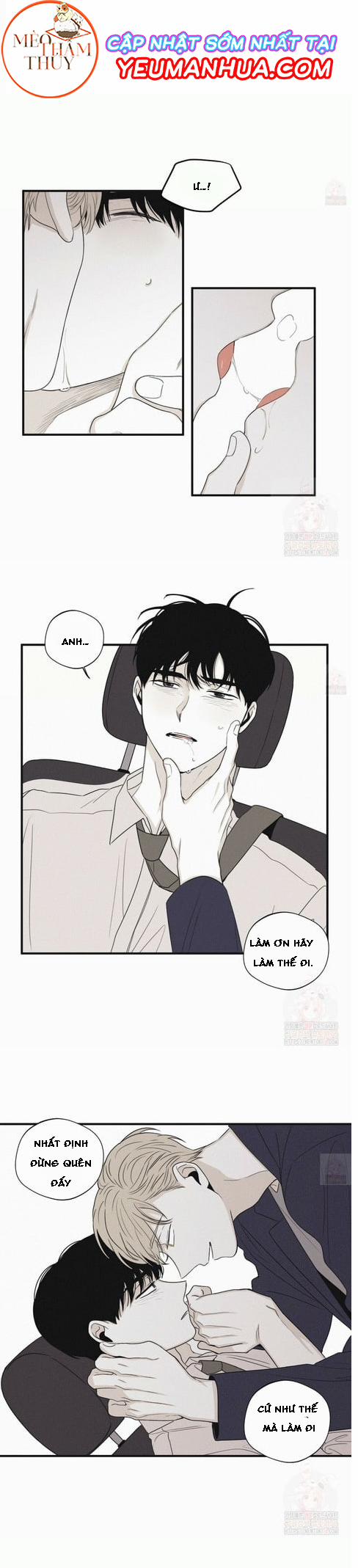 Chiếu Tướng 19 trang 19