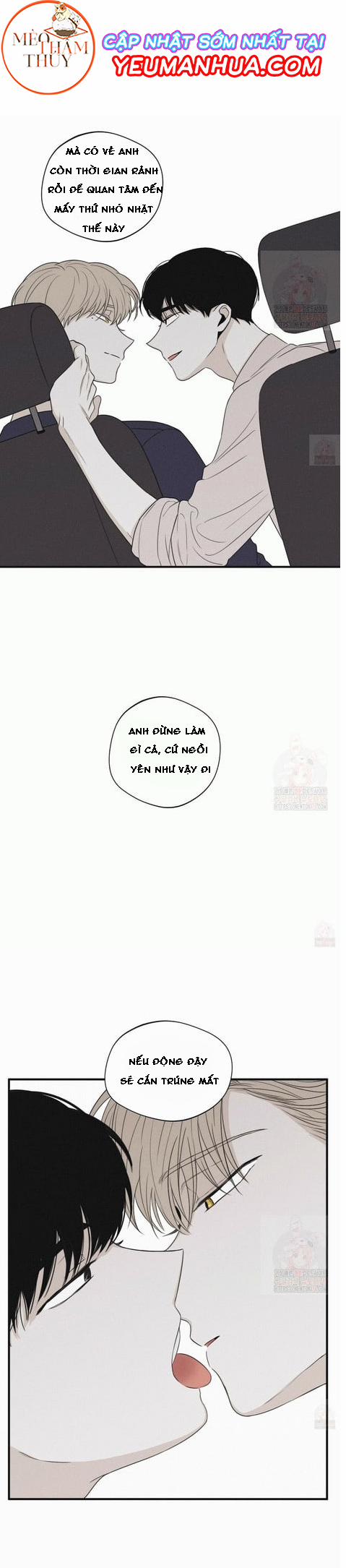 Chiếu Tướng 19 trang 8