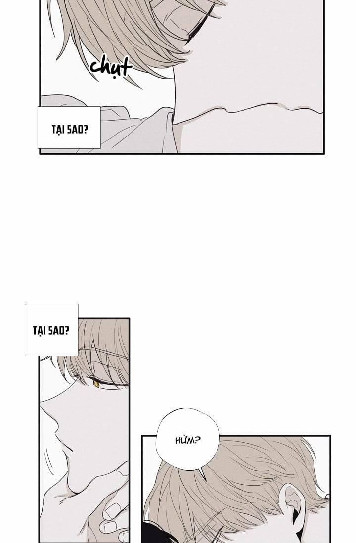 Chiếu Tướng 27 trang 5