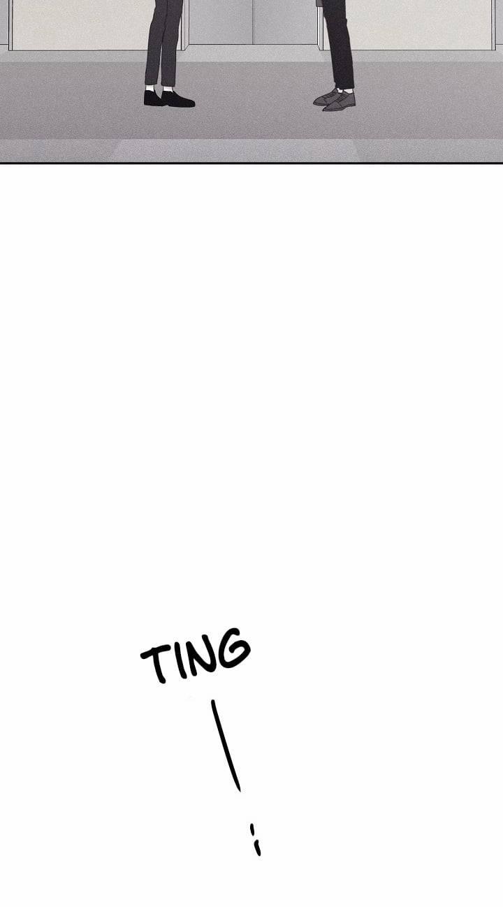 Chiếu Tướng 34 trang 12