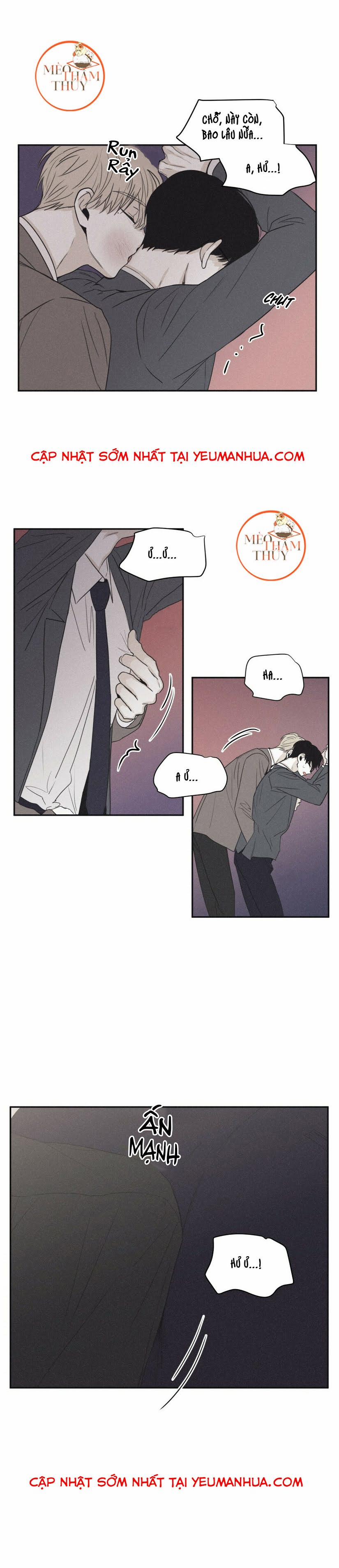 Chiếu Tướng 41 trang 16