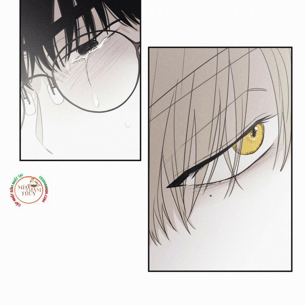 Chiếu Tướng 44 trang 110