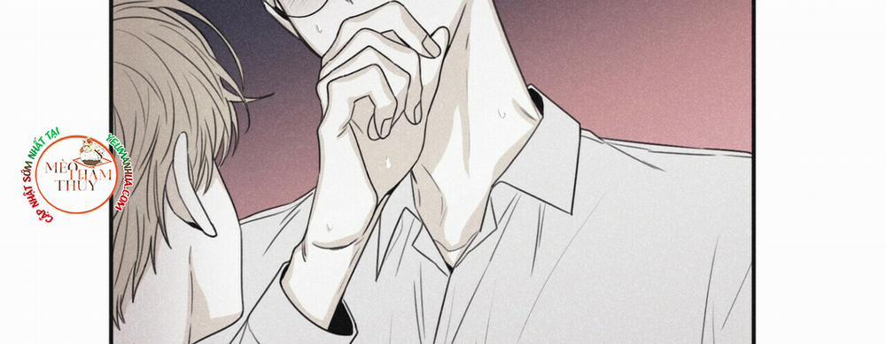 Chiếu Tướng 44 trang 13