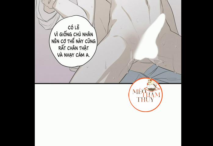 Chiếu Tướng 6 trang 14