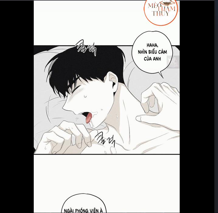 Chiếu Tướng 6 trang 45