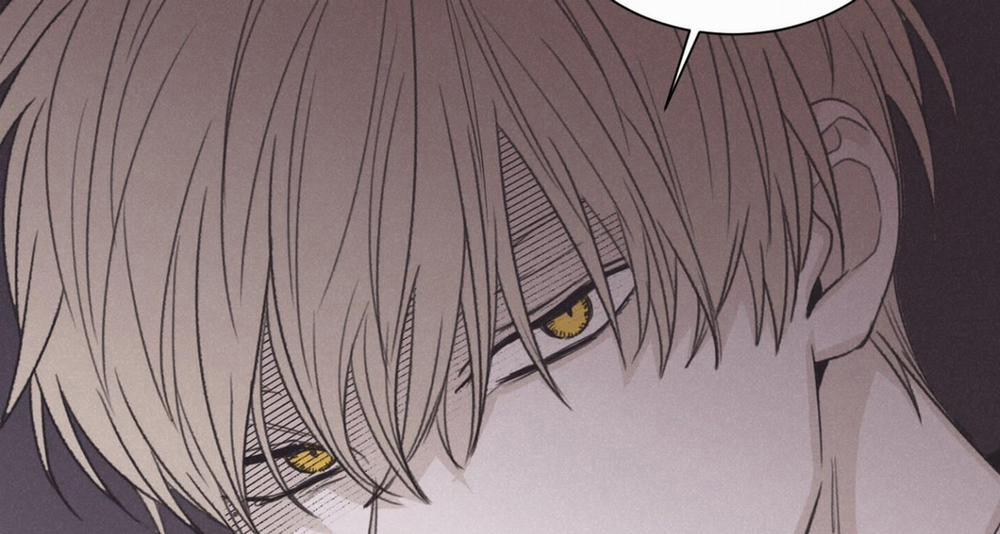 Chiếu Tướng 75 trang 166