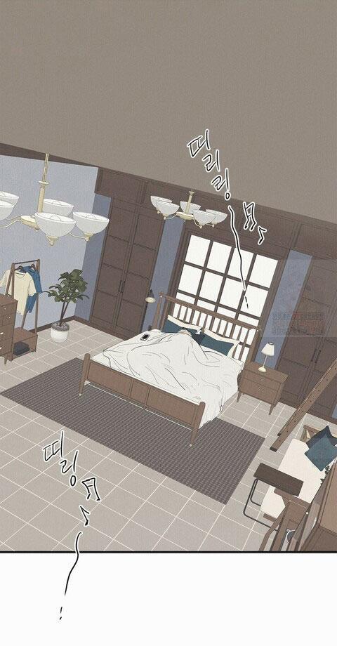 Chiếu Tướng 8 trang 0