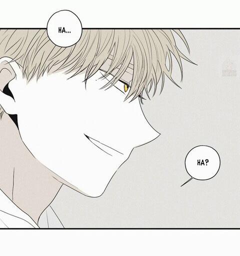 Chiếu Tướng 8 trang 42