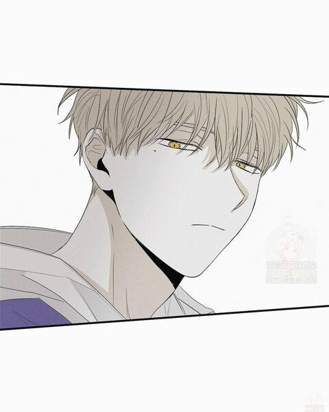 Chiếu Tướng 9 trang 29