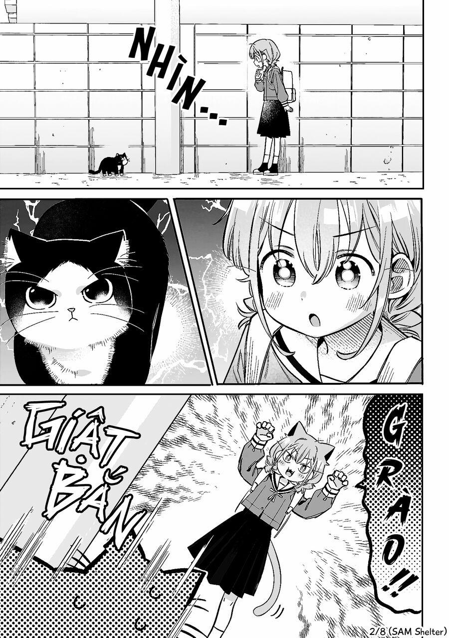 Chigau Miyahara, Omae Ja Nai! 9.5 trang 1