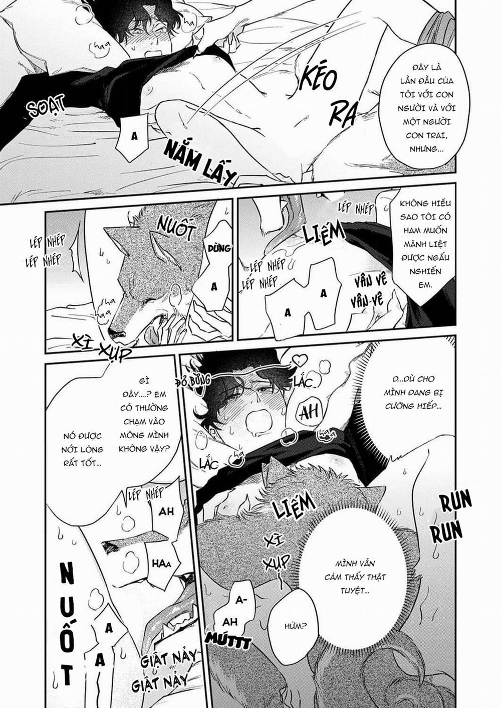 Chìm Đắm Trong Tình Yêu Mãnh Liệt Với Anh Chàng Người Sói 1 trang 14