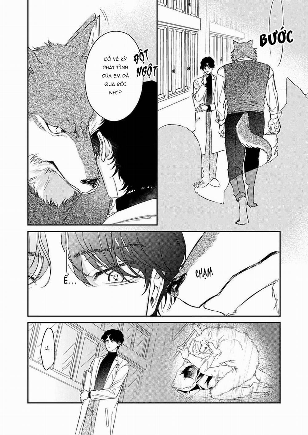 Chìm Đắm Trong Tình Yêu Mãnh Liệt Với Anh Chàng Người Sói 1 trang 24