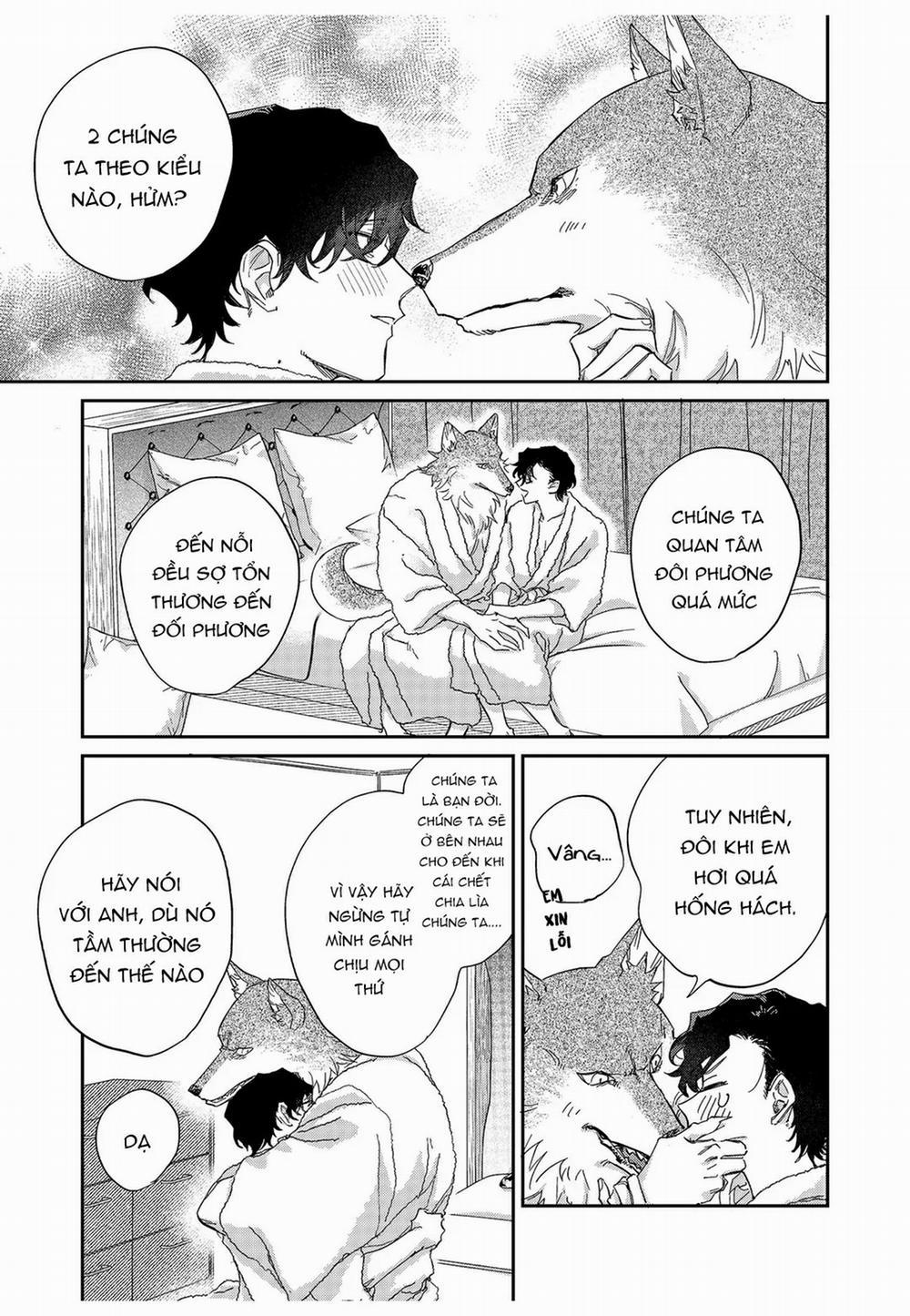 Chìm Đắm Trong Tình Yêu Mãnh Liệt Với Anh Chàng Người Sói 10 trang 10